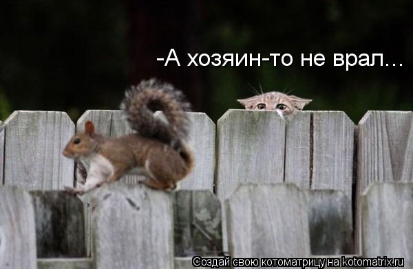 -А хозяин-то не врал...... Котоматрица: -А хозяин-то не врал...