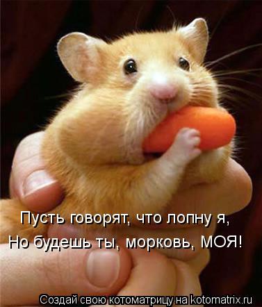 Пусть говорят, что лопну я, Но будешь ты, морковь, МОЯ!... Котоматрица: Пусть говорят, что лопну я, Но будешь ты, морковь, МОЯ!