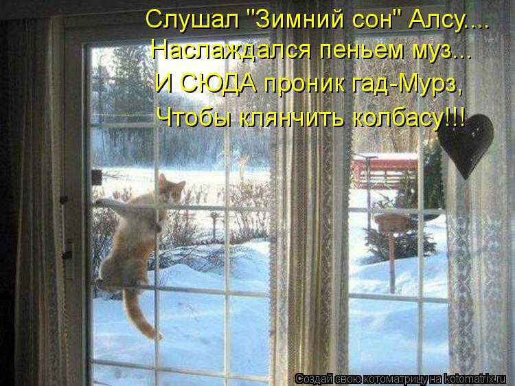 Слушал "Зимний сон" Алсу.... Наслаждался пеньем муз... И СЮДА проник гад-Мурз, Чтобы клянчить колбасу... Котоматрица: Слушал "Зимний сон" Алсу.... Наслаждался пеньем муз... И СЮДА проник гад-Мурз, Чтобы клянчить колбасу!!!