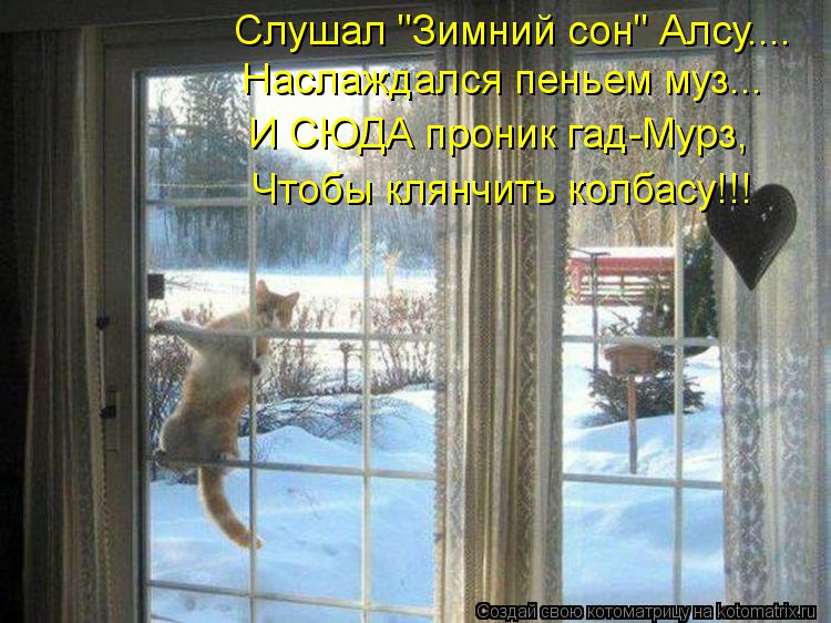 Котоматрица: Слушал "Зимний сон" Алсу.... Наслаждался пеньем муз... И СЮДА проник гад-Мурз, Чтобы клянчить колбасу!!!