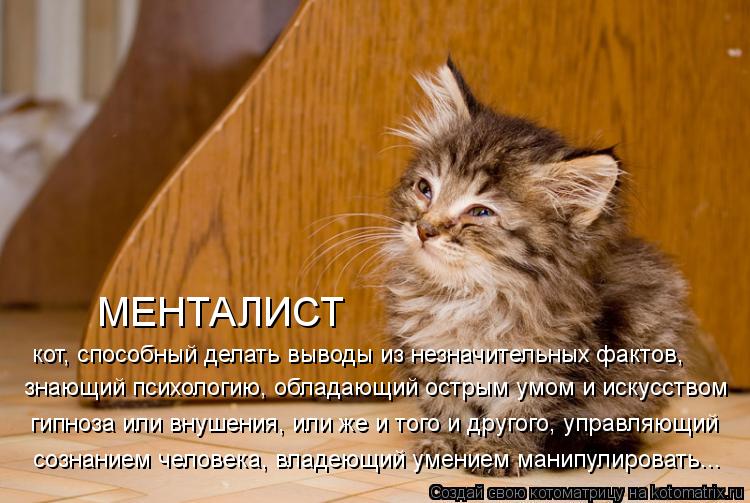 МЕНТАЛИСТ кот, способный делать выводы из незначительных фактов, знающий психологию, обладающий остры... Котоматрица: МЕНТАЛИСТ кот, способный делать выводы из незначительных фактов, знающий психологию, обладающий острым умом и искусством гипноза или внуш
