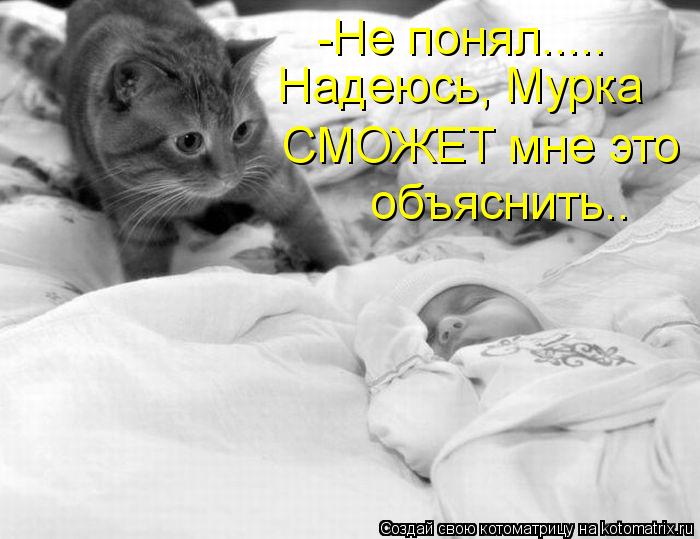 -Не понял..... Надеюсь, Мурка СМОЖЕТ мне это объяснить..... Котоматрица: -Не понял..... Надеюсь, Мурка СМОЖЕТ мне это объяснить..