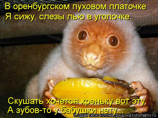 В оренбургском пуховом платочке Скушать хочется хреньку вот эту, А зубов-то у бабушки нету... Я сижу,... Котоматрица: В оренбургском пуховом платочке Скушать хочется хреньку вот эту, А зубов-то у бабушки нету... Я сижу, слезы лью в уголочке.