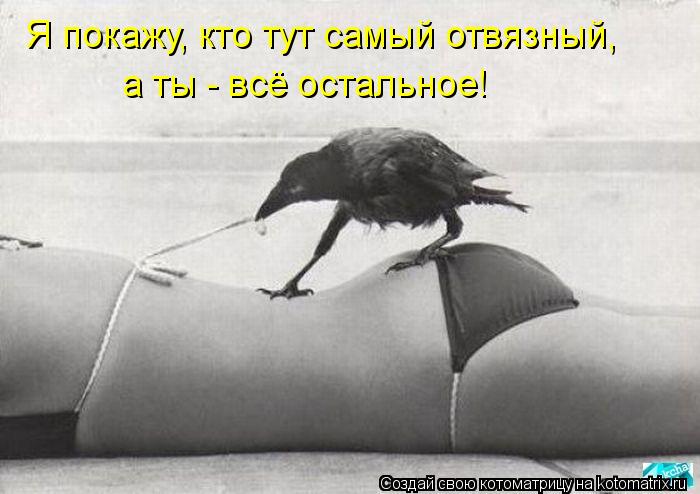 Я покажу, кто тут самый отвязный, а ты - всё остальное!... Котоматрица: Я покажу, кто тут самый отвязный, а ты - всё остальное!