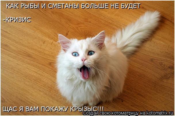 КАК РЫБЫ И СМЕТАНЫ БОЛЬШЕ НЕ БУДЕТ -КРИЗИС ЩАС Я ВАМ ПОКАЖУ КРЫЗЫС!!!... Котоматрица: КАК РЫБЫ И СМЕТАНЫ БОЛЬШЕ НЕ БУДЕТ -КРИЗИС ЩАС Я ВАМ ПОКАЖУ КРЫЗЫС!!!