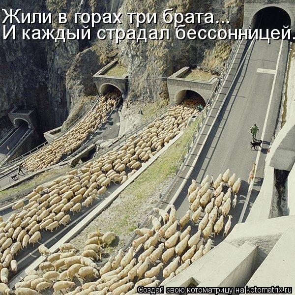 И каждый страдал бессонницей. Жили в горах три брата...... Котоматрица: И каждый страдал бессонницей. Жили в горах три брата...