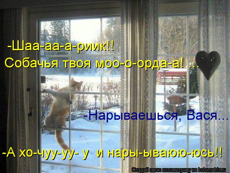 -Шаа-аа-а-риик!! Собачья твоя моо-о-орда-а! ... -Нарываешься, Вася... -А хо-чуу-уу- у и нары-ываюю... Котоматрица: -Шаа-аа-а-риик!! Собачья твоя моо-о-орда-а! ... -Нарываешься, Вася... -А хо-чуу-уу- у и нары-ываюю-юсь!!