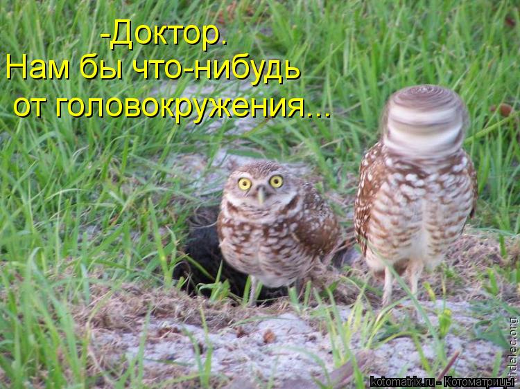 -Доктор. Нам бы что-нибудь от головокружения...... Котоматрица: -Доктор. Нам бы что-нибудь от головокружения...