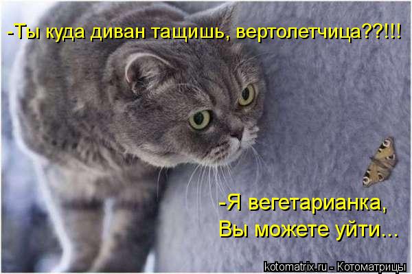 -Ты куда диван тащишь, вертолетчица??!!! -Я вегетарианка, Вы можете уйти...... Котоматрица: -Ты куда диван тащишь, вертолетчица??!!! -Я вегетарианка, Вы можете уйти...