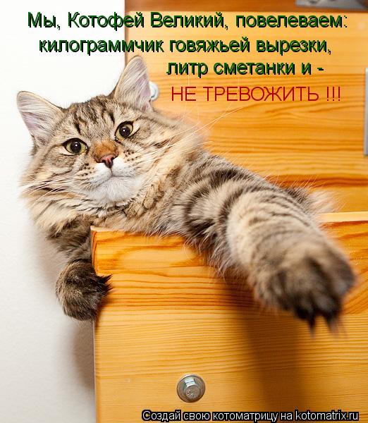 килограммчик говяжьей вырезки, литр сметанки и - НЕ ТРЕВОЖИТЬ !!! Мы, Котофей Великий, повелеваем:... Котоматрица: килограммчик говяжьей вырезки, литр сметанки и - НЕ ТРЕВОЖИТЬ !!! Мы, Котофей Великий, повелеваем: