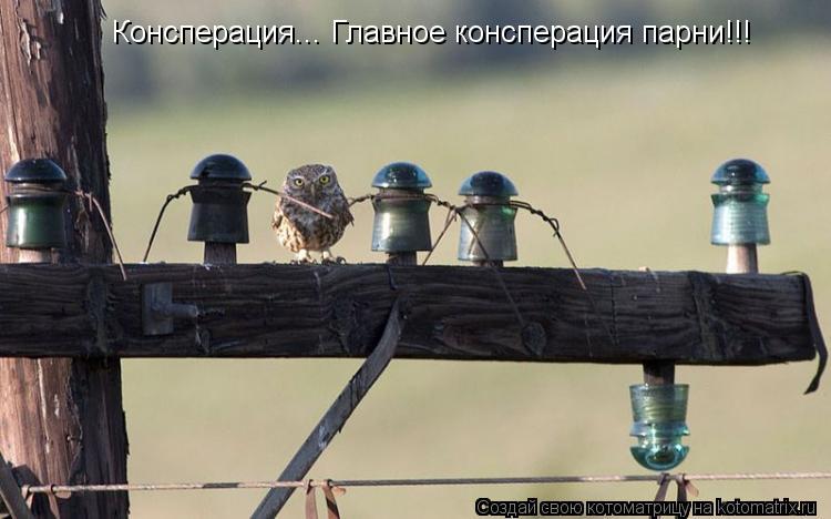 Консперация... Главное консперация парни!!!... Котоматрица: Консперация... Главное консперация парни!!!