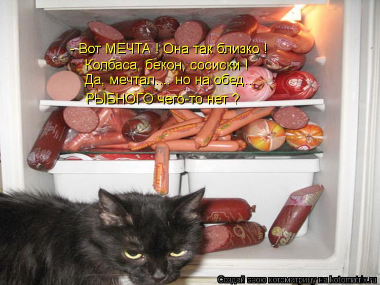 Котоматрица: - Вот МЕЧТА ! Она так близко ! Колбаса, бекон, сосиски ! РЫБНОГО чего-то нет ? Да, мечтал.... но на обед...