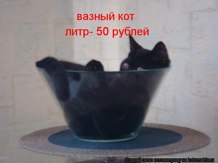 Котоматрица: вазный кот литр- 50 рублей