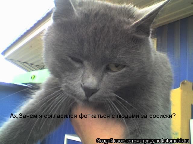 Котоматрица: Ах,Зачем я согласился фоткаться с людьми за сосиски?