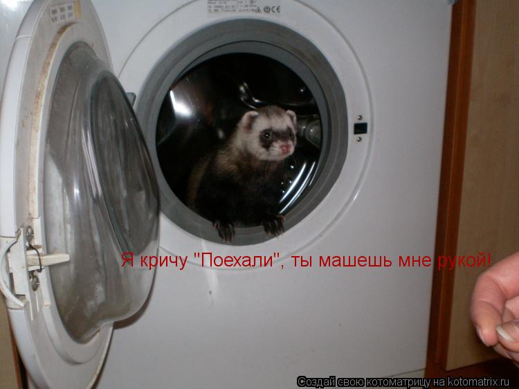 Я кричу "Поехали", ты машешь мне рукой!... Котоматрица: Я кричу "Поехали", ты машешь мне рукой!