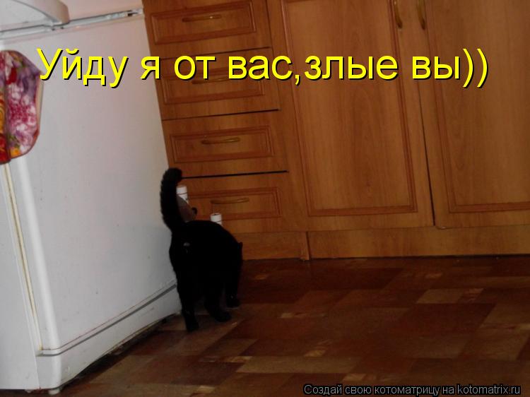 Уйду я от вас,злые вы))... Котоматрица: Уйду я от вас,злые вы))