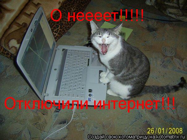 Котоматрица: Отключили интернет!!!  О неееет!!!!!