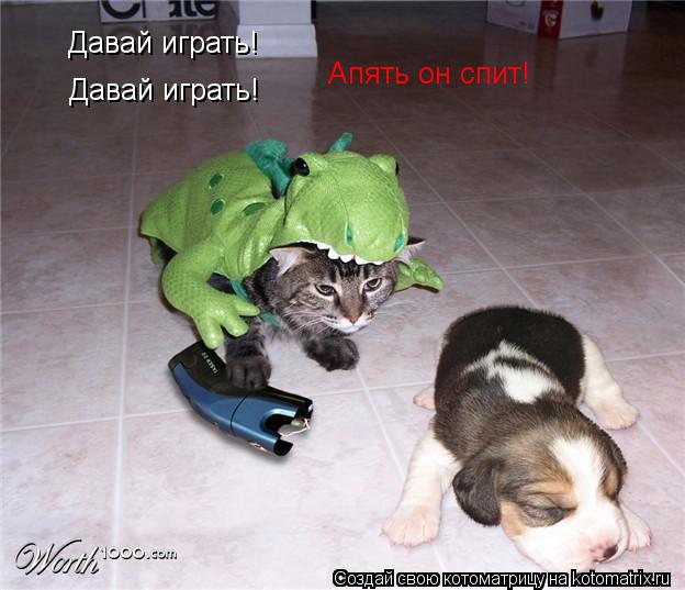 Котоматрица: Давай играть! Давай играть! Апять он спит!