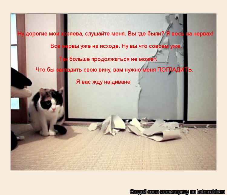 Котоматрица: Ну дорогие мои хозяева, слушайте меня. Вы где были? Я весь на нервах!  Все нервы уже на исходе. Ну вы что совсем уже. Так больше продолжаться не