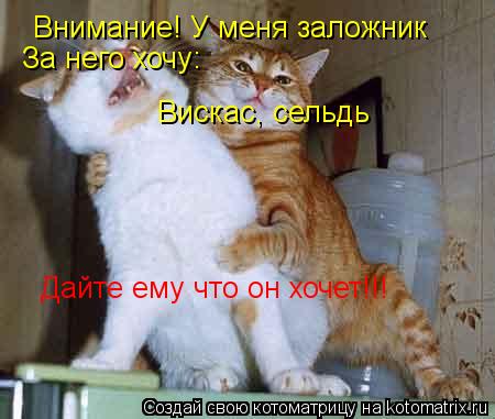 Котоматрица: Bнимание! У меня заложник За него хочу: Вискас, сельдь Дайте ему что он хочет!!!