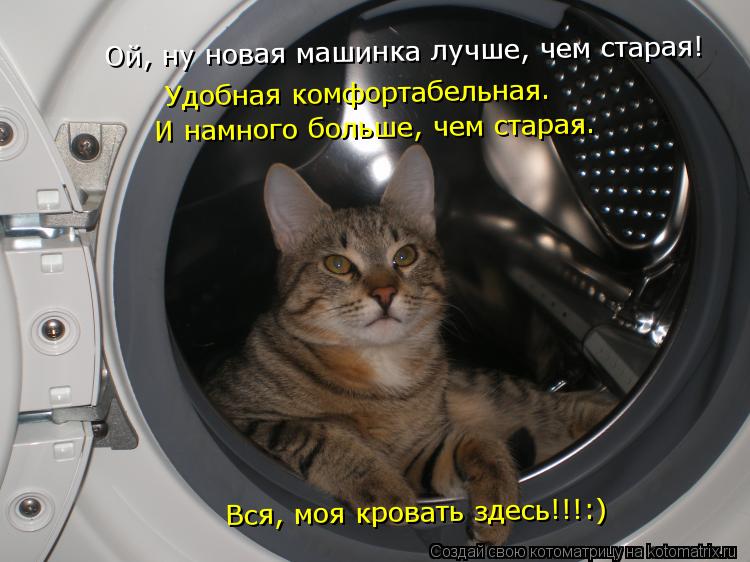 Котоматрица: Ой, ну новая машинка лучше, чем старая! Удобная комфортабельная.  И намного больше, чем старая.  Вся, моя кровать здесь!!!:)