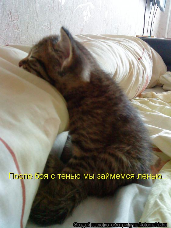 Котоматрица: После боя с тенью мы займемся ленью...