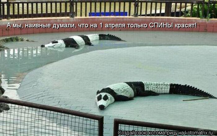 Котоматрица: А мы, наивные думали, что на 1 апреля только СПИНЫ красят!