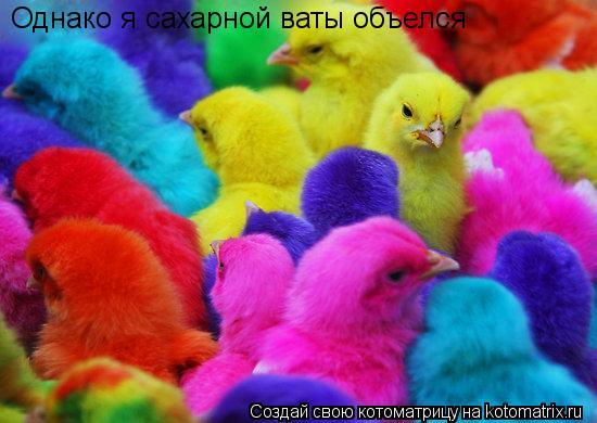 Котоматрица: Однако я сахарной ваты объелся