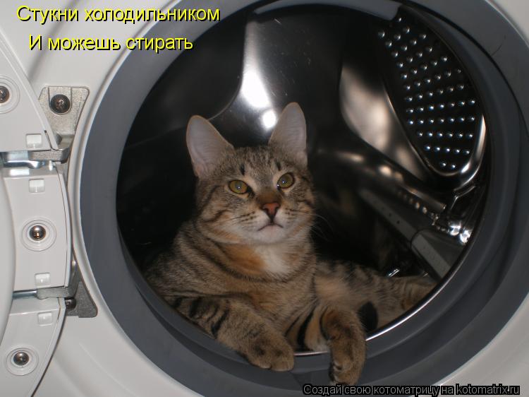 Котоматрица: Стукни холодильником И можешь стирать