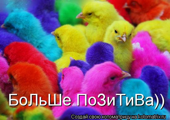 БоЛьШе ПоЗиТиВа))... Котоматрица: БоЛьШе ПоЗиТиВа))