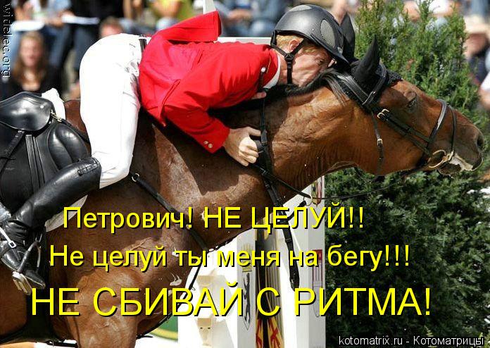 Не целуй ты меня на бегу!!! НЕ СБИВАЙ С РИТМА! Петрович! НЕ ЦЕЛУЙ!!... Котоматрица: Не целуй ты меня на бегу!!! НЕ СБИВАЙ С РИТМА! Петрович! НЕ ЦЕЛУЙ!!
