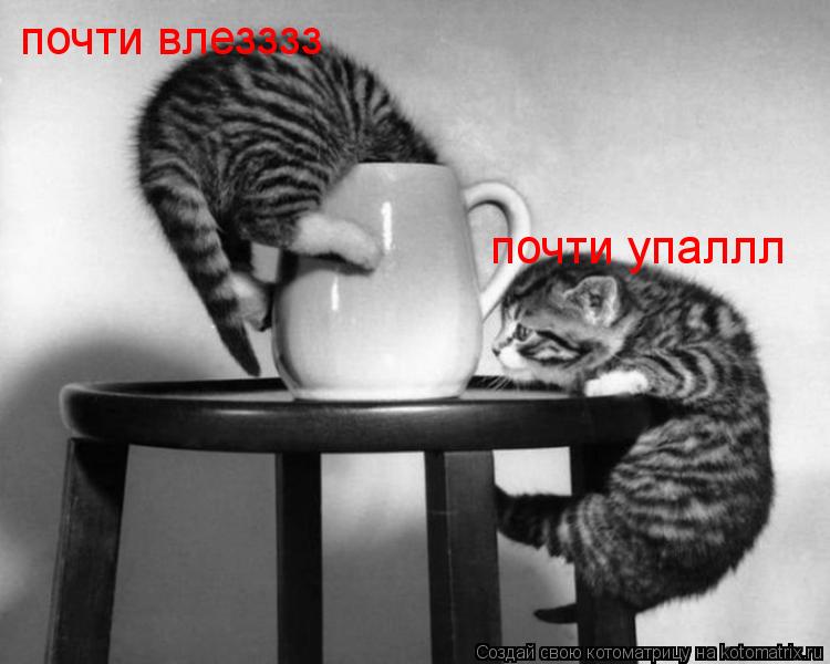 почти влезззз почти упаллл... Котоматрица: почти влезззз почти упаллл