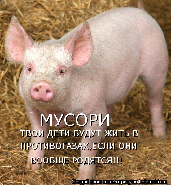 Котоматрица: МУСОРИ ТВОИ ДЕТИ БУДУТ ЖИТЬ В  ПРОТИВОГАЗАХ,ЕСЛИ ОНИ  ВООБЩЕ РОДЯТСЯ!!!