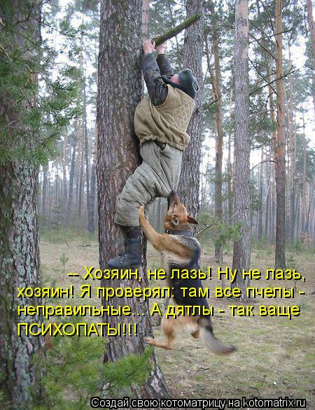 -- Хозяин, не лазь! Ну не лазь, хозяин! Я проверял: там все пчелы - неправильные... А дятлы - так ващ... Котоматрица: -- Хозяин, не лазь! Ну не лазь, хозяин! Я проверял: там все пчелы - неправильные... А дятлы - так ваще ПСИХОПАТЫ!!!