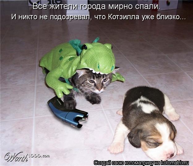 Котоматрица: Все жители города мирно спали. И никто не подозревал, что Котзилла уже близко...