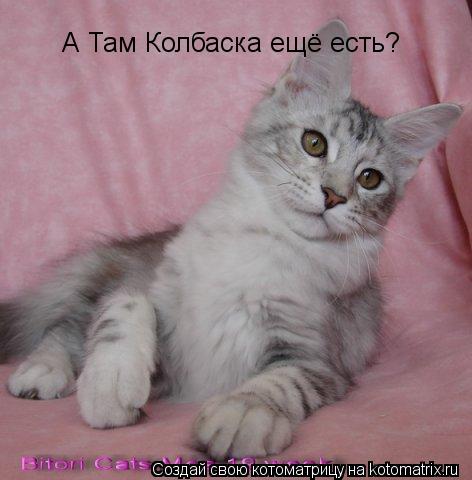 А Там Колбаска ещё есть?... Котоматрица: А Там Колбаска ещё есть?