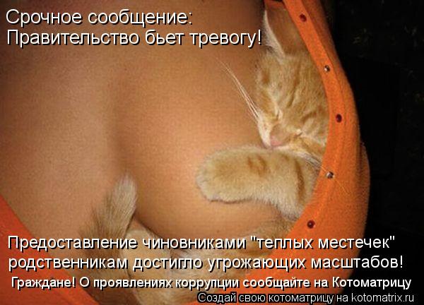 Срочное сообщение: Правительство бьет тревогу! Предоставление чиновниками "теплых местечек" родственн... Котоматрица: Срочное сообщение: Правительство бьет тревогу! Предоставление чиновниками "теплых местечек" родственникам достигло угрожающих масштабов!