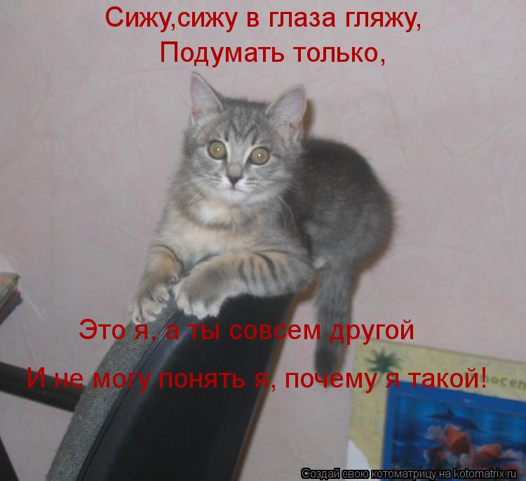 Сижу,сижу в глаза гляжу, Подумать только, Подумать только, Это я, а ты совсем другой И не могу понять... Котоматрица: Сижу,сижу в глаза гляжу, Подумать только, Подумать только, Это я, а ты совсем другой И не могу понять я, почему я такой!