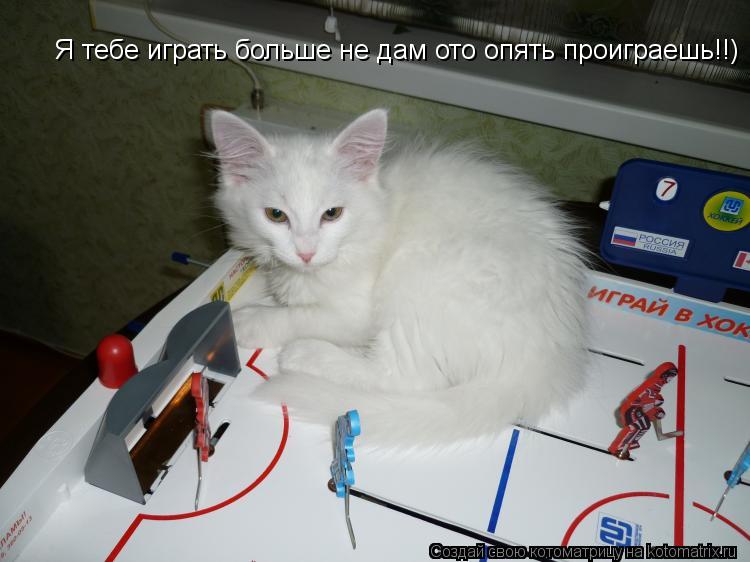 Я тебе играть больше не дам ото опять проиграешь!!)... Котоматрица: Я тебе играть больше не дам ото опять проиграешь!!)