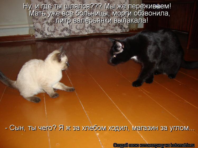 Ну, и где ты шлялся??? Мы же переживаем! Мать уже все больницы, морги обзвонила, литр валерьянки выла... Котоматрица: Ну, и где ты шлялся??? Мы же переживаем! Мать уже все больницы, морги обзвонила, литр валерьянки вылакала! - Сын, ты чего? Я ж за хлебом ходил, ма