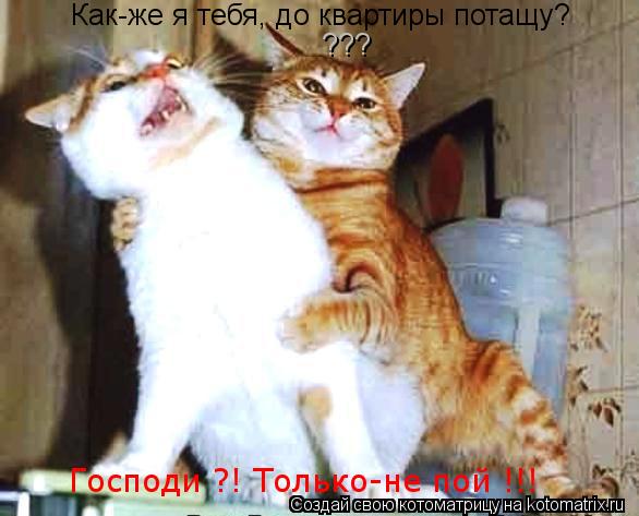 Котоматрица: Как-же я тебя, до квартиры потащу? ??? Господи ?! Только-не пой !!!