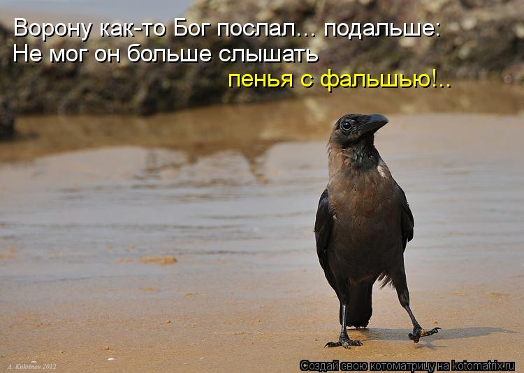 Ворону как-то Бог послал... подальше: Не мог он больше слышать пенья с фальшью!..... Котоматрица: Ворону как-то Бог послал... подальше: Не мог он больше слышать пенья с фальшью!..