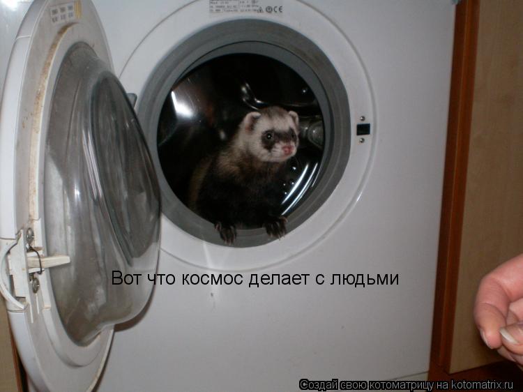 Котоматрица: Вот что космос делает с людьми