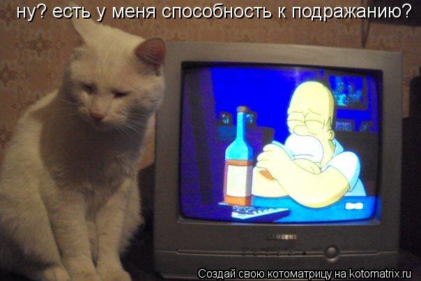 Котоматрица: ну? есть у меня способность к подражанию?