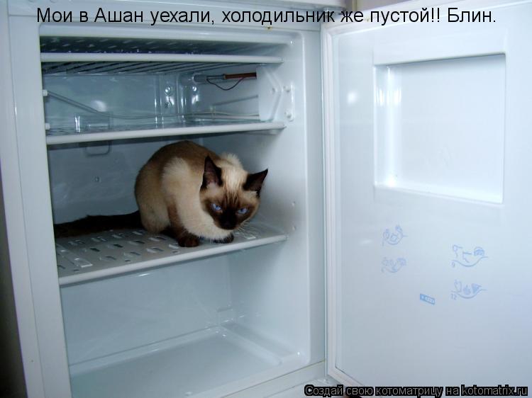 Мои в Ашан уехали, холодильник же пустой!! Блин.... Котоматрица: Мои в Ашан уехали, холодильник же пустой!! Блин.