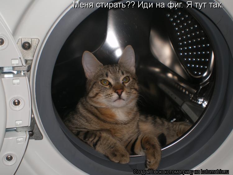 Меня стирать?? Иди на фиг. Я тут так.... Котоматрица: Меня стирать?? Иди на фиг. Я тут так.