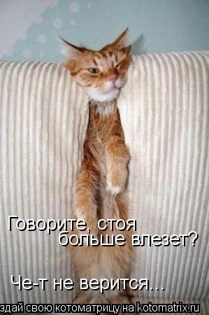 Говорите, стоя больше влезет? Че-т не верится...... Котоматрица: Говорите, стоя больше влезет? Че-т не верится...