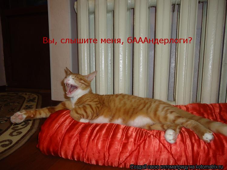 Вы, слышите меня, бАААндерлоги?... Котоматрица: Вы, слышите меня, бАААндерлоги?