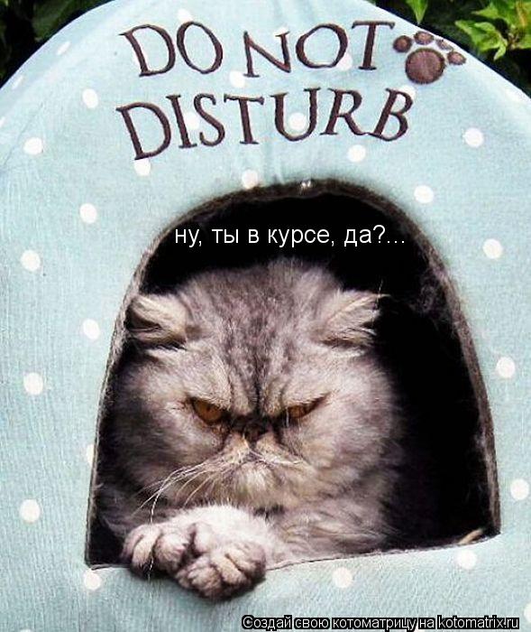 Котоматрица: ну, ты в курсе, да?...