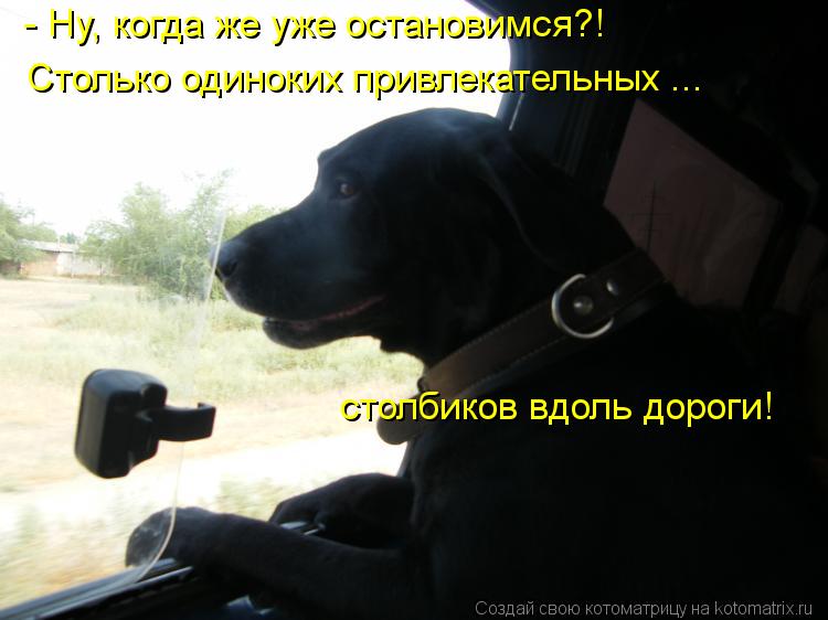- Ну, когда же уже остановимся?! Столько одиноких привлекательных ... столбиков вдоль дороги!... Котоматрица: - Ну, когда же уже остановимся?! Столько одиноких привлекательных ... столбиков вдоль дороги!